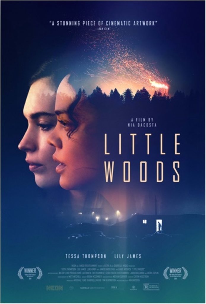 Promotional poster for "Little Woods"