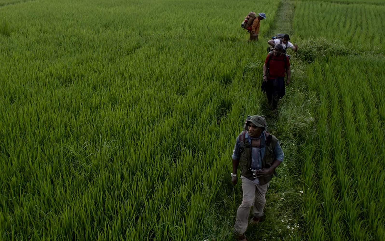 The four veterans walk through a field