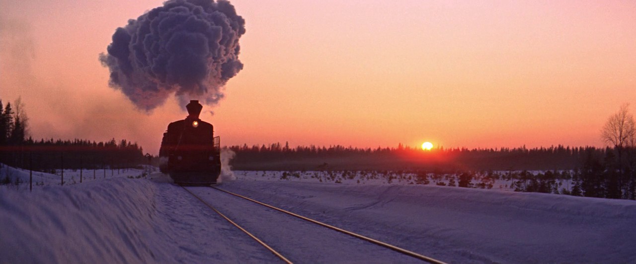 A train travels across a snowy landscape