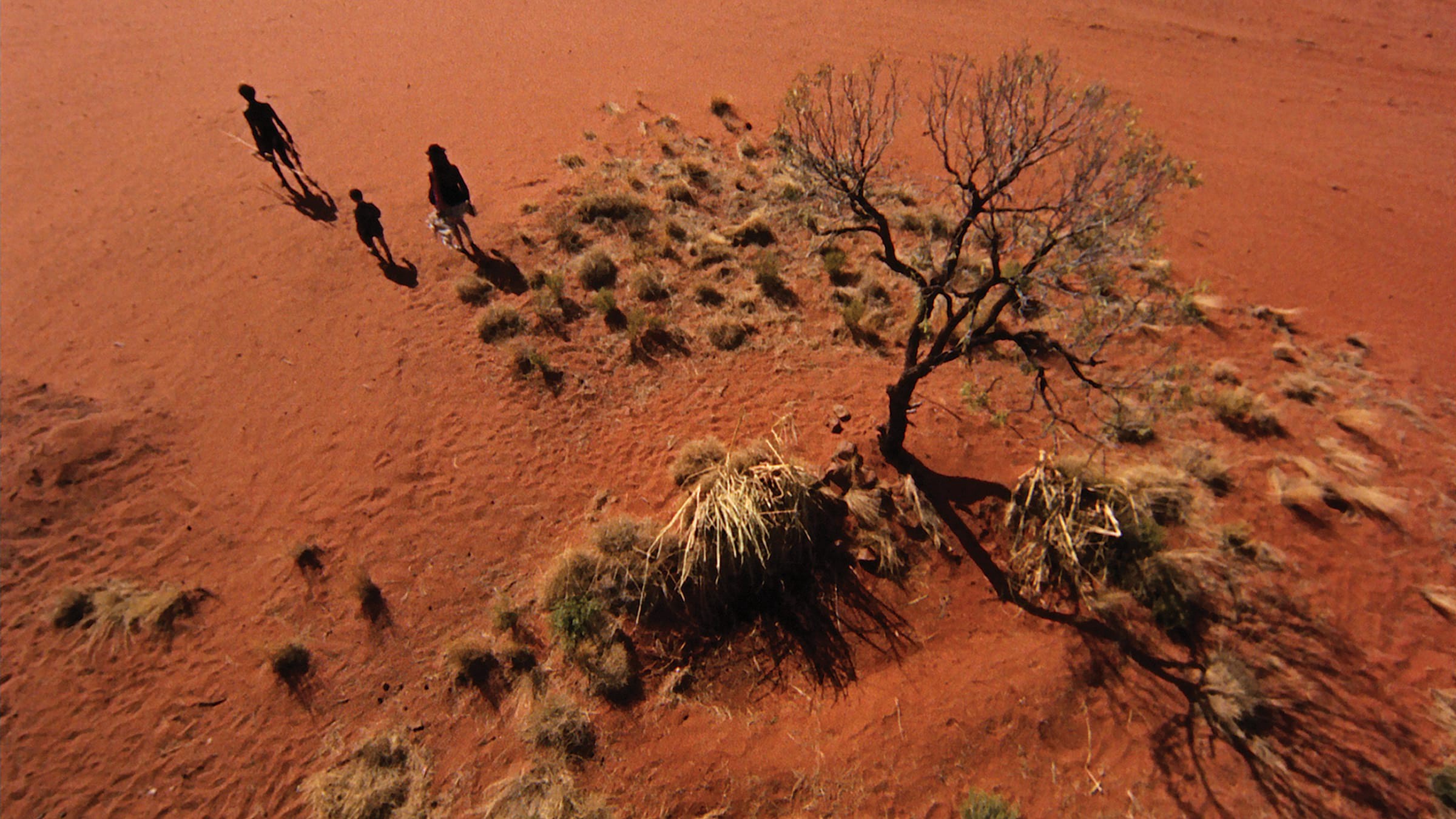 A wide overhead shot of the Outback. Three figures walk away from a tree. 