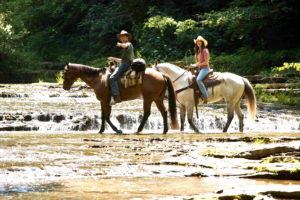 This image features Miley and Travis riding horses.