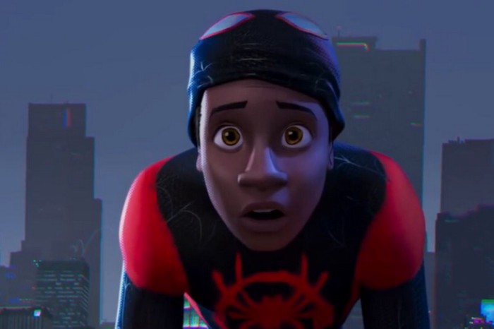 Spiderman into th spider verse