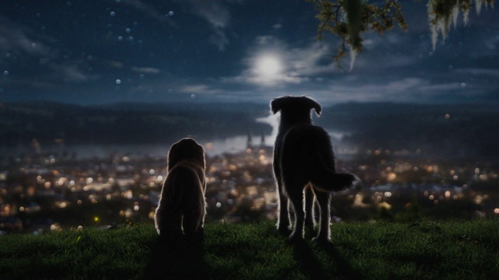 Lady and Tramp overlook the city at night