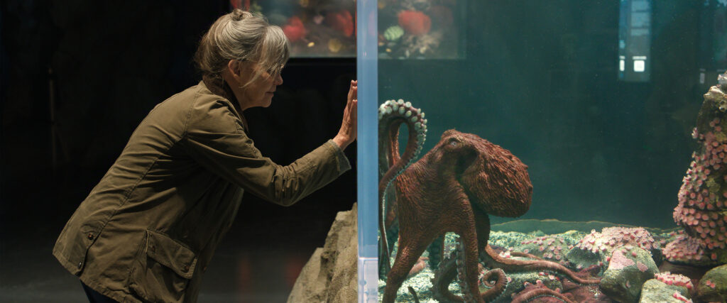 Remarkably Bright Creatures Netflix 2026, Tova (Sally Field) and Marcellus (Alfred Molina)