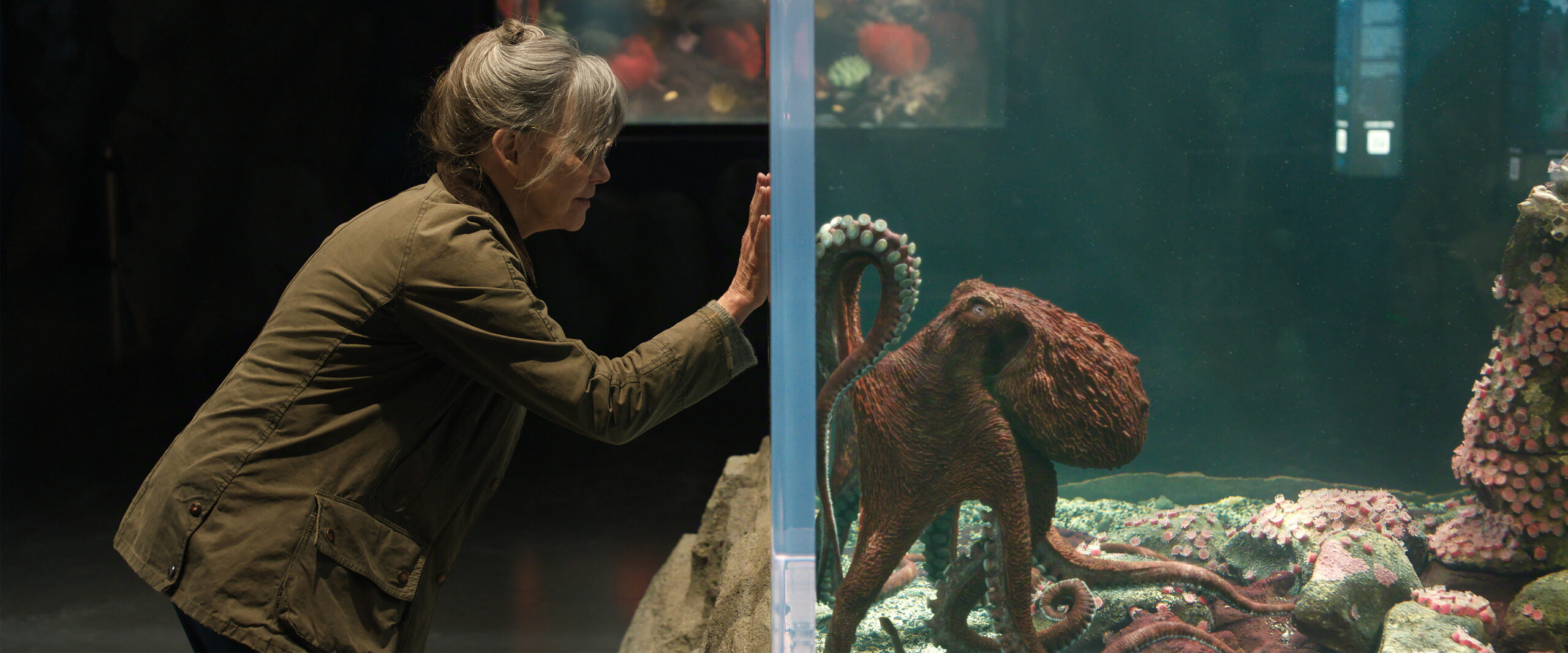 Get The Tissues for Remarkably Bright Creatures